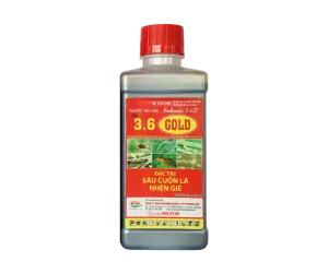 3.6 GOLD
