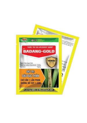 BADANG - GOLD