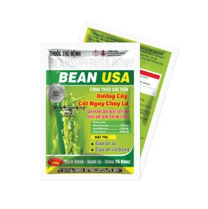 BEAN USA