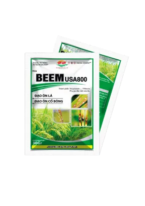 BEEM USA