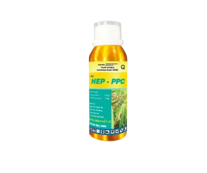 HEP - PPC