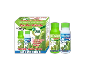 CẶP ĐÔI CHAI (QUY CÁCH 450ml)