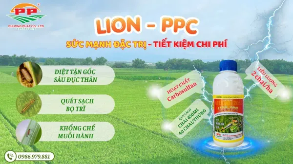 SÂU ĐỤC THÂN TRÊN LÚA - HIỂU ĐÚNG ĐỂ PHÒNG TRỪ HIỆU QUẢ 🌾