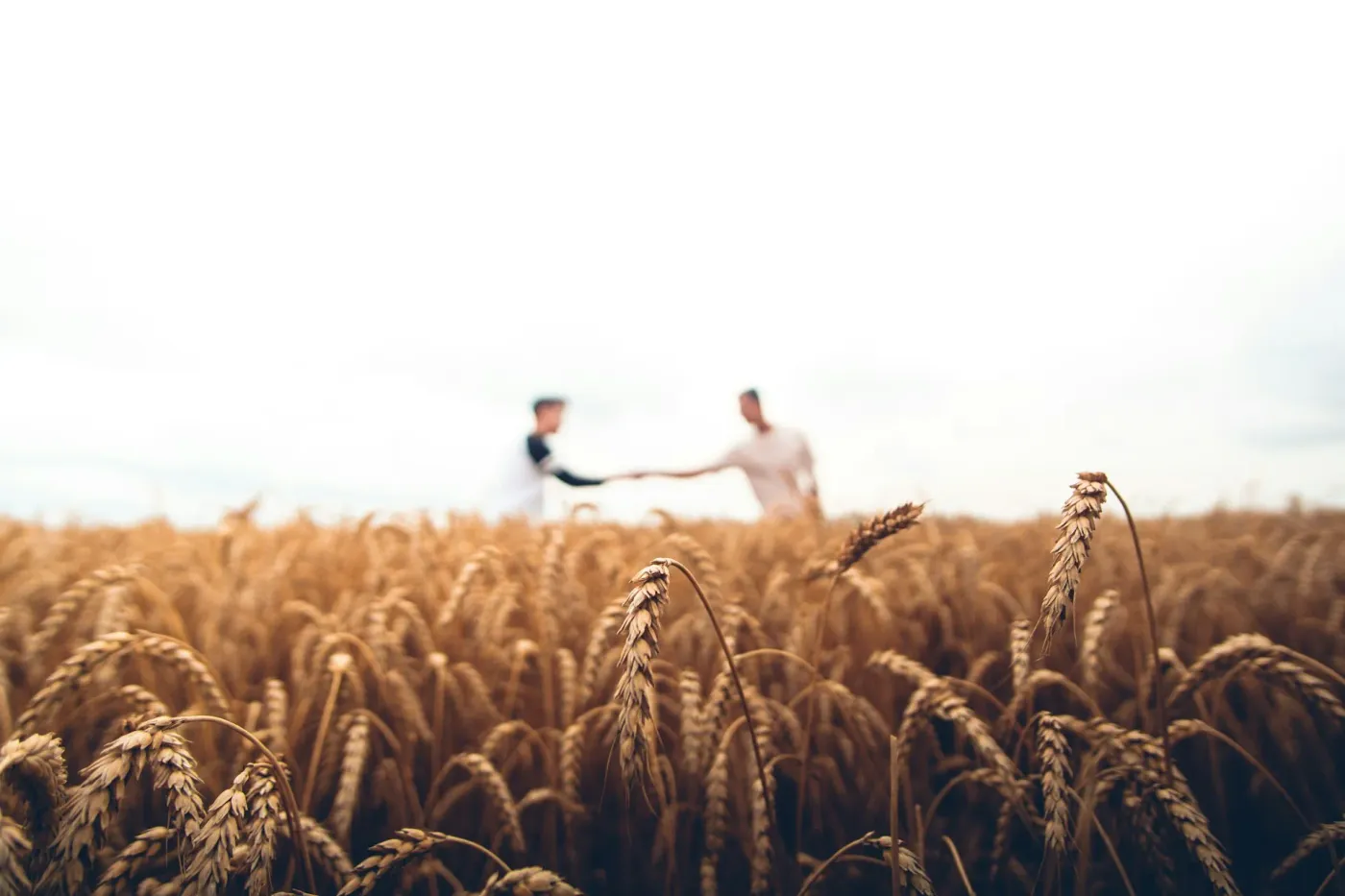 Nông nghiệp xanh